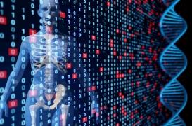 Plus fort qu'Enigma ! On a déchiffré le langage qui permet aux cellules de communiquer entre-elles