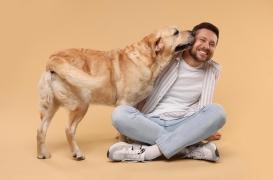 Santé mentale : l'enquête qui confirme les bienfaits des animaux de compagnie