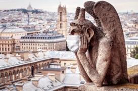 Chauve-souris ou laboratoire ? De nouvelles interrogations sur l'origine du SARS-CoV-2 