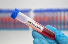 Le variant Omicron circulait peut-être déjà en Europe avant son identification