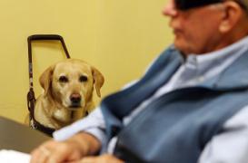 Une association d'aide aux aveugles dans le collimateur de la Cour des comptes