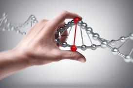 Maladie de Charcot : les causes génétiques auraient été sous-estimées