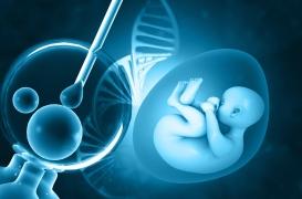 Un bébé nait avec l'ADN de trois personnes au Royaume-Uni