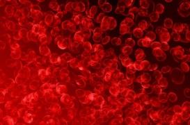 Cancers : une détection précoce avec un test sanguin