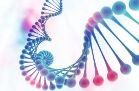 L’ADN circulaire pourrait être la clé du cancer infantile