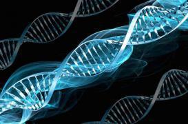 Cancers d'origine génétique : les Français veulent en savoir plus