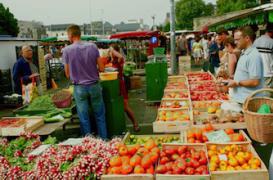 Pourquoi il faut laver les fruits et les légumes