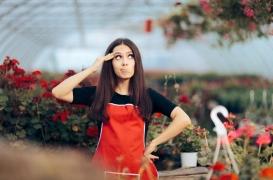 Comment tirons-nous des leçons de nos erreurs ?