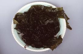 Consommer des algues contribue à  lutter contre les maladies cardiovasculaires