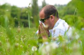 Stallergenes : suspendu à la suite d'un bug informatique 