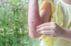 Pourquoi certains attirent-ils davantage les moustiques ?