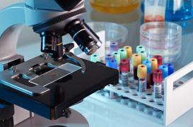 Maladies familiale : l'environnement a un poids non négligeable