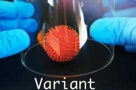 Et maintenant, le variant 