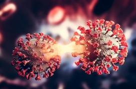 Des réinfections plus nombreuses avec le variant BA-2 ?