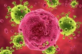 Pourquoi le VIH est-il si difficile à éliminer ?