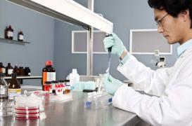 Les chercheurs accusés d'embellir les résultats de leurs études