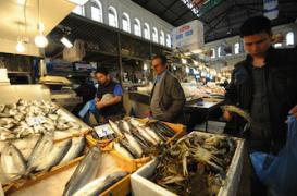 Poissons : comment les consommer sans risque