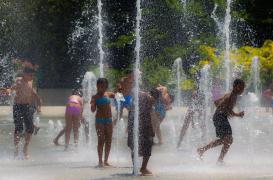 Vague de chaleur : un numéro vert pour donner des conseils de prudence