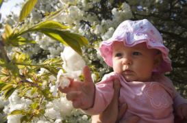 Naître en été donne une meilleure santé à l’âge adulte