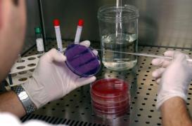 L'INSERM recueille vos bactéries intestinales