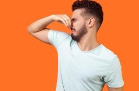 Comment notre cerveau reconnaît les odeurs ?