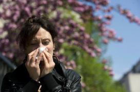 Allergies aux pollens de graminées : la France en alerte rouge 