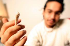 Cannabis : repérer tôt pour éviter la dépendance