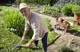 Trop de calcium abîme le coeur des hommes 
