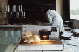 Google fête Claude Bernard, le père de l’expérimentation animale