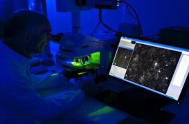 Nanomédicaments : le Français qui cible les tumeurs 