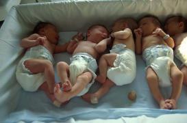 Démographie : plus de 7 milliards d'humains sur Terre