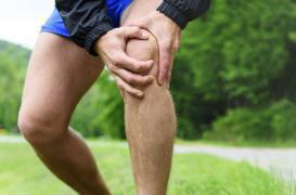 Greffe : réparer le genou à partir de cartilage nasal