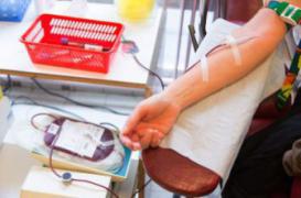  Antilles : les voyageurs doivent attendre un mois pour donner leur sang