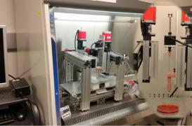 Impression en 3D : du cartilage pour réparer les articulations