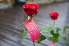 Saint Valentin : faut-il donner rendez-vous à l'amour ?