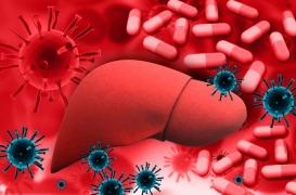Hépatite C : moins de cancers avec les nouveaux traitements