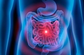 Un boîtier interne et biodégradable pour suivre la convalescence à distance