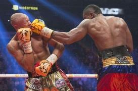 Syncope : le malaise vagal est un simple « coupe circuit »