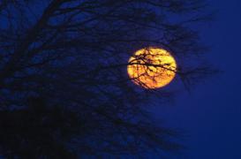 Une preuve de l’influence de la Lune sur le sommeil