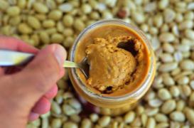 Allergie aux arachides : une piste de traitement grâce à une bactérie