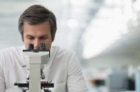 Vieillissement : des scientifiques rajeunissent les muscles d'une souris