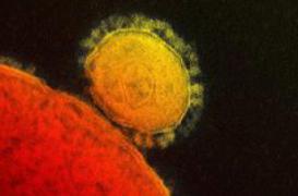 Le  premier cas de coronavirus en Grèce