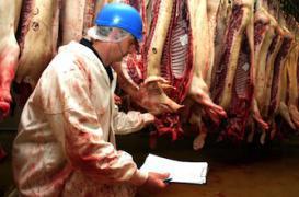 La sécurité alimentaire épinglée par la Cour des comptes