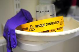 Peste : le serial killer refait surface