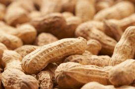 Allergie aux cacahuètes : le baiser qui tue