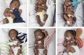 Etats-Unis : une femme accouche de sextuplés après 17 ans d'infertilité