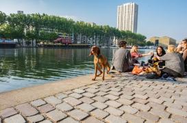 Pas de respect de la distanciation : l’alcool interdit sur les berges à Paris
