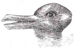 Lapin ou canard ? Cette illusion d'optique en dirait long sur votre personnalité