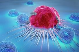 Un nouveau système d’identification des cellules cancéreuses cachées