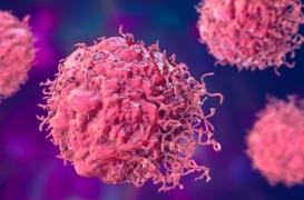 Espoir dans le cancer : un anticorps capable de freiner la croissance des tumeurs identifié